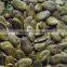 Class A, AA, AAA GWS Pumpkin Seeds Kernels