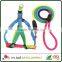 Safety Bucklerope pet rope Heat Transfer Printing Washable