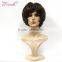 Dynamic hair Style Sample order Welcome OEM human hair wigs short