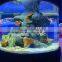 Transparent Cast Acrylic Aquarium Oceanarium Price