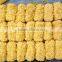 BREADED PANGASIUS FILLETS