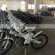 Seagull, low price electric bike with li-ion battery