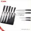 S/S430 + Color wood Handle high grade stainless steel kitchen knife set                        
                                                Quality Choice