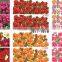2016 Beauty 3D flowers DIY Ble nail sticker for Nail Decal Tips