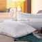 Eco-friendly White Goose Down Filling Custom Hotel Collection Down Pillows                        
                                                Quality Choice