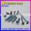 Special Fastener Flat Head Socket Head Cap Screw