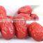 bulk sale Ziziphus jujube red jujube date fruit sale