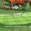 virtual golf