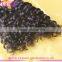 Wholesale Cheap Brazilian Virgin Human Kinky Curly Micro Loop Hair Extensions