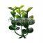 Plastic artificial grass ball, decorative buxus ball