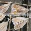 dried queenfish
