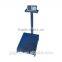 TCS 300kg LED Electronic Weighing Platform Wheel Scale guangzhou supplier