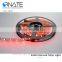 12V 24V SMD 2835/5050 RGB/RGBW led strip kit remote control IP20/IP65/IP67/IP68