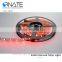 waterproof ip65 colorful flexible 5050 rgb led strip 10mm 12v 24v