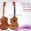 Aquila Strings Solid Cedar & Sapele Mahogany Neck Tenor Rosewood Fingerboard Aquila Strings Ukulele