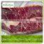 frozen beef silverside