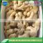 Professional supplier,exporter dry ginger