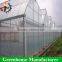 High quality commercial plastic greenhouse