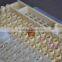 Beekeeping tool plastic bee rearing system queen protector box