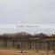 PVC Coated Anti-climbing Y Type Airport Razor Barbed Wire & Fence Panel