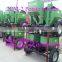 Hand tractor 1 row manual potato planter