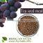 tea saponin from Wild oil-tea seeds