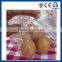 PP PS PE PET EGG Egg Tray Making Machine