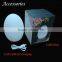 color changing egg shape table lamp