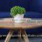hydroponic bright color small plastic flower pot for home garden interior christmas decoration