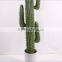 SJ3001017 Landscaping decorative shaped cactos artificial plastic cactus plants