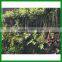 FO-GW018 Outdoor Green Plant Wall for Decor