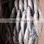 AAA QAULITY Frozen PACIFIC Mackerel