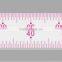China manufacture 1:4/1:5 transplant flexible straight plastic sandwich line scale ruler for engineering design#8502
