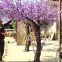 2.5 meter height artificial crooked  trunk peach fruit tree