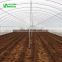 Commercial Mushroom Tunnel Plastic Greenhouse Film Agriculture
