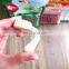 Puppy Dog Breath Freshen Peppermint Teeth Pet Training Snack