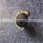 ZK6122H9 Yutong bus clutch master cylinder 1608-00130 original clutch master brake cilynder