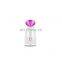 Hot Sale Item OEM 280W 65ML Electric Face Steamer Portable Facial Steamer 2021