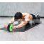 Hot Selling Custom Logo Abs Roller Indoor Sports Abdominal Roller Wheel