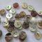 2 Holes Round Custom Natural Agoya Shell Buttons For Shirt Clothing