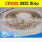 fashionable volume supply 120led/m led strip