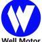 Dongguan Well Motor Co.Ltd
