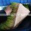 Best quality hydroponic peanut sprouting machine