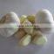 Large Bucket Garlic Peeler,garlic press and peeler set,garlic peeler machine price