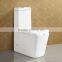 Wash Down P Trap Ceramic Wall Mounted Water Closet AT628A