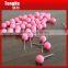 Colorful Plastic Ball Map Pins