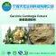 great stock of garcinia gambogia extract powder