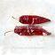2016 New Corp red chili sauce