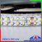 10MM Addressable Double Row LED Strip,2700k 3528 double row led strip smd3528 addressable rgb led strip