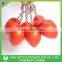 Advertising Logo PU Heart Shape Stress Ball Key Rings